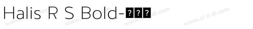 Halis R S Bold字体转换